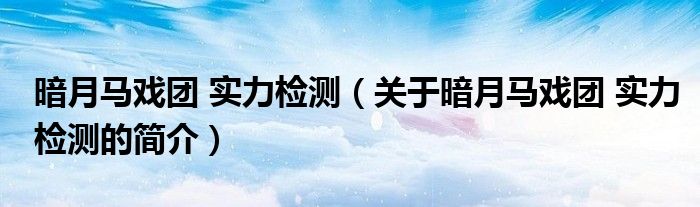 暗月马戏团 实力检测（关于暗月马戏团 实力检测的简介）