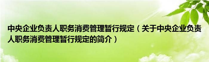 中央企业负责人职务消费管理暂行规定（关于中央企业负责人职务消费管理暂行规定的简介）