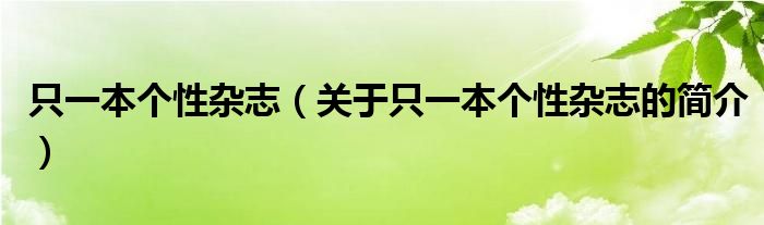 只一本个性杂志（关于只一本个性杂志的简介）