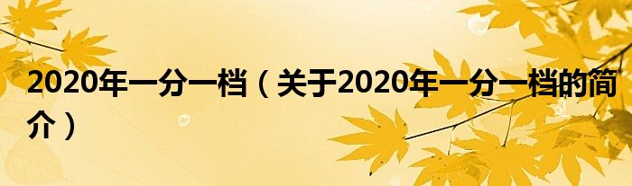 2020年一分一档（关于2020年一分一档的简介）