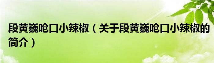 段黄巍呛口小辣椒（关于段黄巍呛口小辣椒的简介）