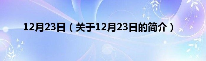 12月23日（关于12月23日的简介）