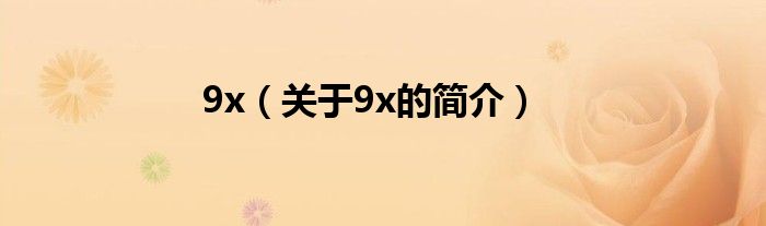 9x（关于9x的简介）