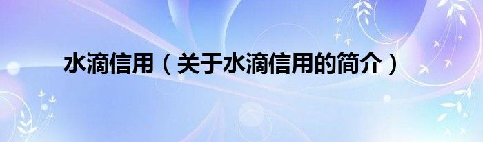 水滴信用（关于水滴信用的简介）