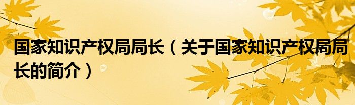 国家知识产权局局长（关于国家知识产权局局长的简介）