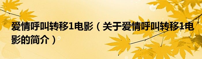 爱情呼叫转移1电影（关于爱情呼叫转移1电影的简介）