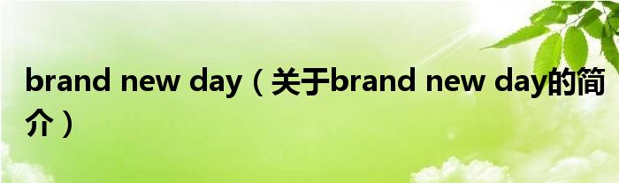 brand new day（关于brand new day的简介）