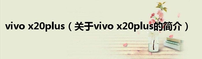 vivo x20plus（关于vivo x20plus的简介）