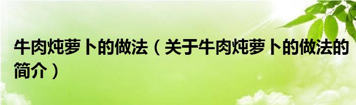 牛肉炖萝卜的做法（关于牛肉炖萝卜的做法的简介）