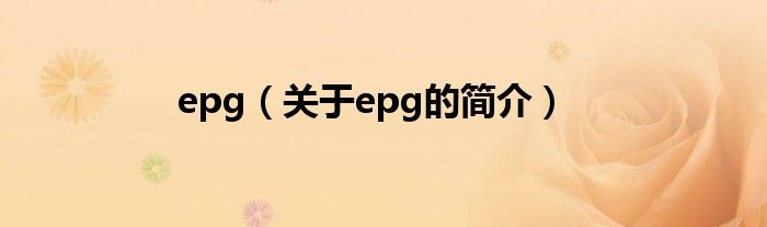 epg（关于epg的简介）