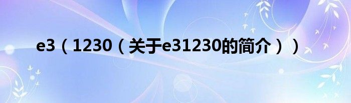 e3（1230（关于e31230的简介））