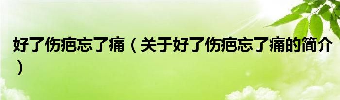 好了伤疤忘了痛（关于好了伤疤忘了痛的简介）