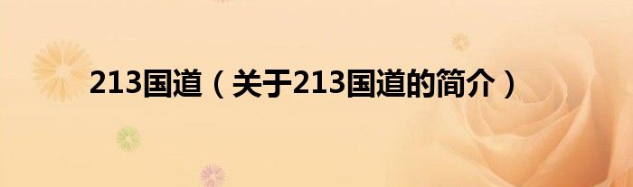 213国道（关于213国道的简介）