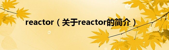 reactor（关于reactor的简介）