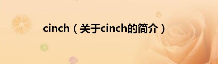 cinch（关于cinch的简介）