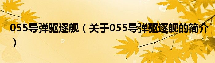 055导弹驱逐舰（关于055导弹驱逐舰的简介）