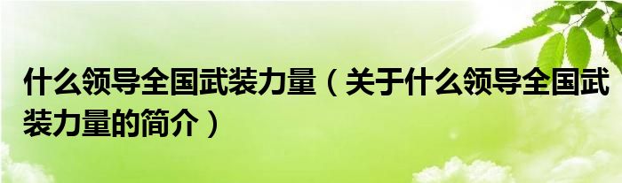 什么领导全国武装力量（关于什么领导全国武装力量的简介）