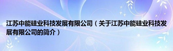 江苏中能硅业科技发展有限公司（关于江苏中能硅业科技发展有限公司的简介）