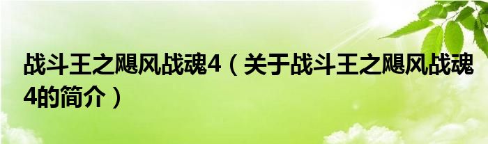 战斗王之飓风战魂4（关于战斗王之飓风战魂4的简介）