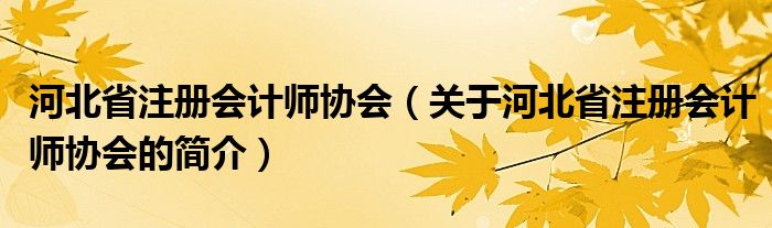 河北省注册会计师协会（关于河北省注册会计师协会的简介）