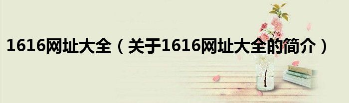 1616网址大全（关于1616网址大全的简介）