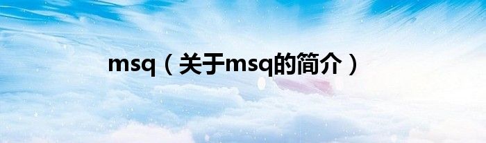 msq（关于msq的简介）