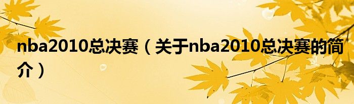 nba2010总决赛（关于nba2010总决赛的简介）