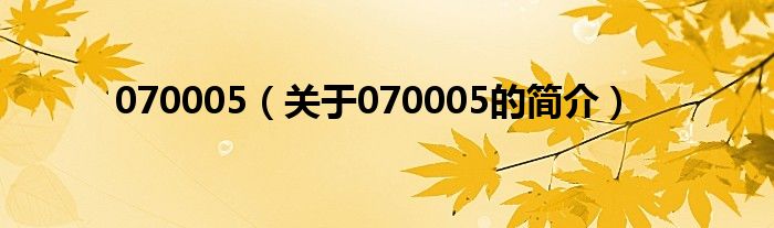 070005（关于070005的简介）