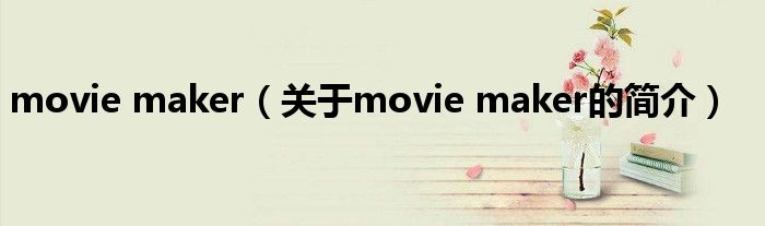 movie maker（关于movie maker的简介）