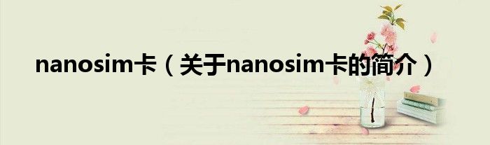 nanosim卡（关于nanosim卡的简介）