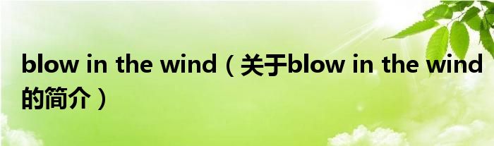 blow in the wind（关于blow in the wind的简介）