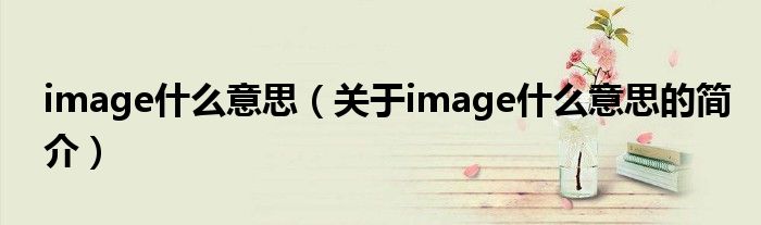 image什么意思（关于image什么意思的简介）