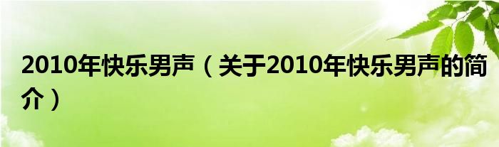 2010年快乐男声（关于2010年快乐男声的简介）