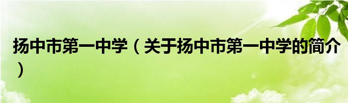 扬中市第一中学（关于扬中市第一中学的简介）