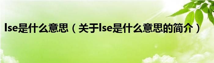 lse是什么意思（关于lse是什么意思的简介）