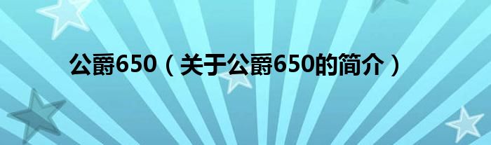 公爵650（关于公爵650的简介）