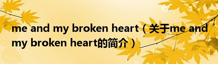 me and my broken heart（关于me and my broken heart的简介）