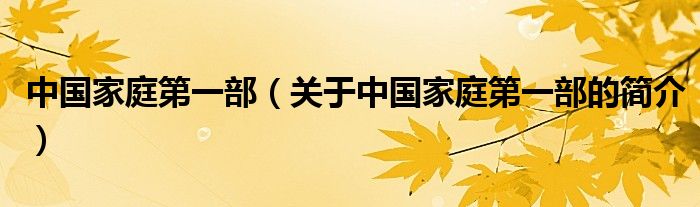 中国家庭第一部（关于中国家庭第一部的简介）