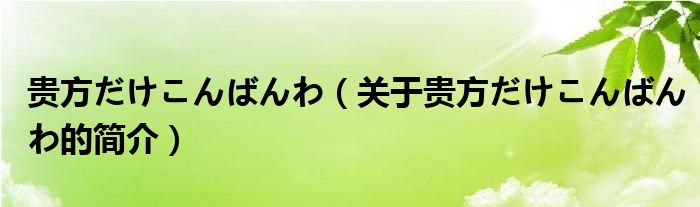 贵方だけこんばんわ（关于贵方だけこんばんわ的简介）