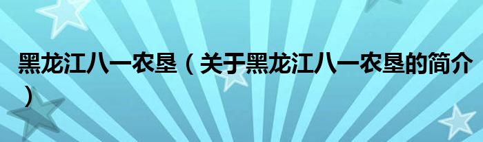 黑龙江八一农垦（关于黑龙江八一农垦的简介）