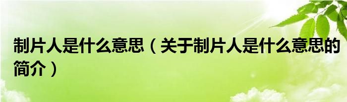 制片人是什么意思（关于制片人是什么意思的简介）