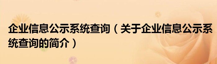 企业信息公示系统查询（关于企业信息公示系统查询的简介）