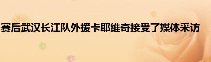 赛后武汉长江队外援卡耶维奇接受了媒体采访