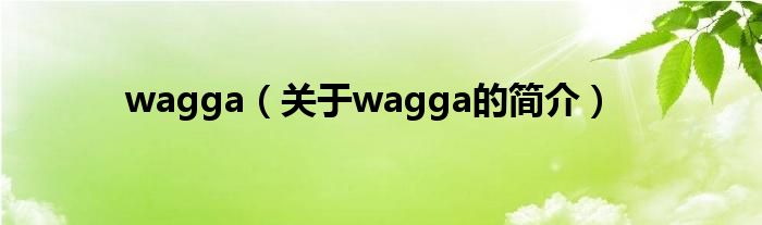 wagga（关于wagga的简介）