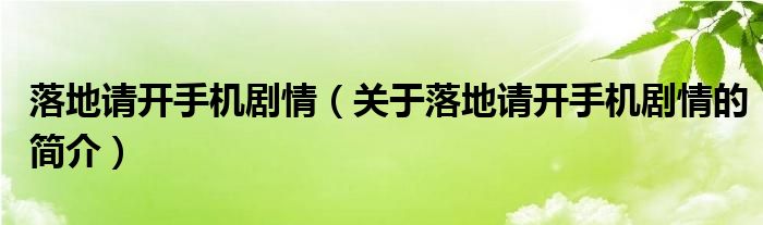 落地请开手机剧情（关于落地请开手机剧情的简介）