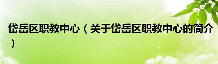 岱岳区职教中心（关于岱岳区职教中心的简介）