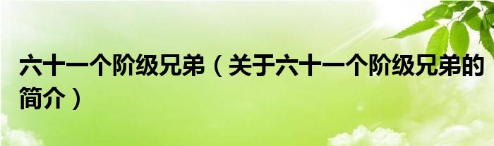 六十一个阶级兄弟（关于六十一个阶级兄弟的简介）