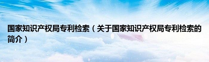 国家知识产权局专利检索（关于国家知识产权局专利检索的简介）