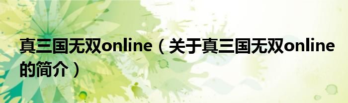 真三国无双online（关于真三国无双online的简介）