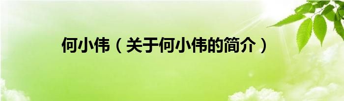 何小伟（关于何小伟的简介）